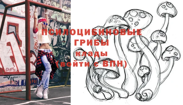 бошки Алексин