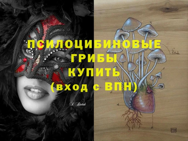 бошки Алексин