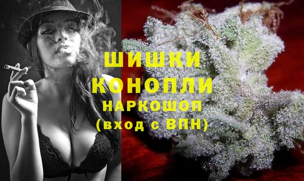 бошки Алексин
