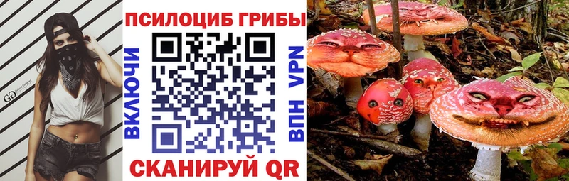 Псилоцибиновые грибы ЛСД  где продают наркотики  Петровск 